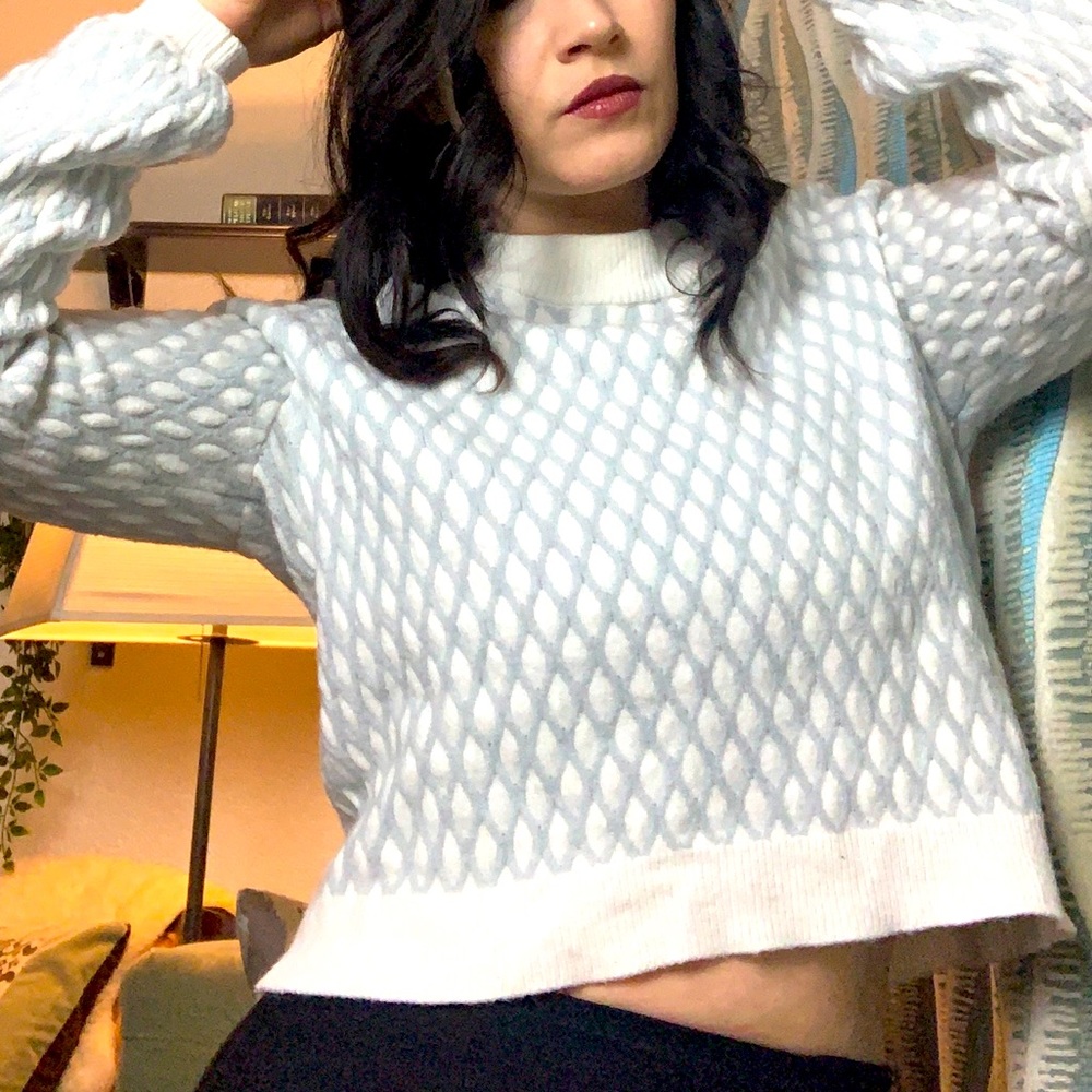 Cozy Pepin Anthropologie Sweater